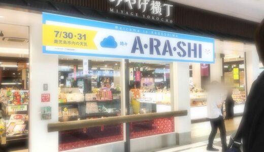 嵐というアイドルが日常からいなくなった日から